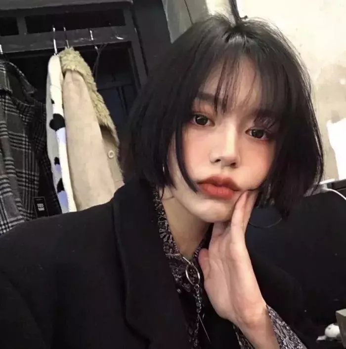 丛林精神 封面